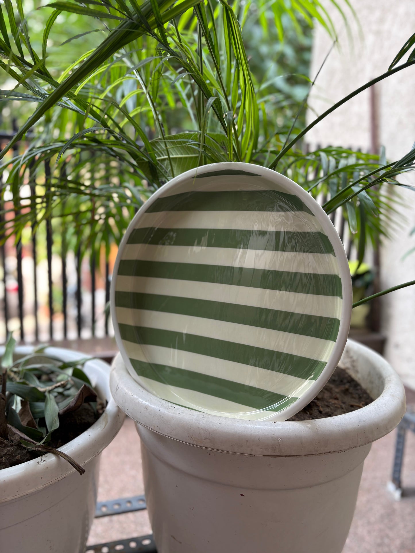 Metal Printed Trays